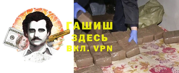 мдпв Елабуга