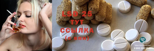 мдпв Елабуга
