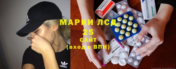 мдпв Елабуга