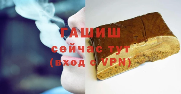 мдпв Елабуга