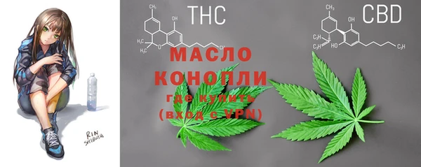 мдпв Елабуга