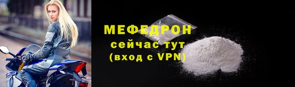 мдпв Елабуга