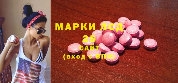 мдпв Елабуга