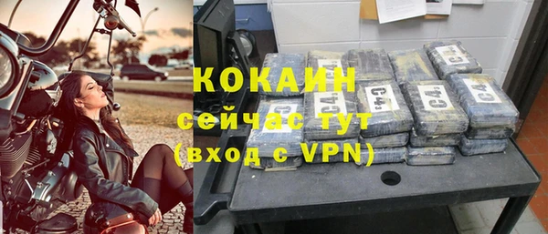мдпв Елабуга