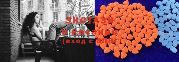 мдпв Елабуга