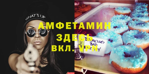 мдпв Елабуга