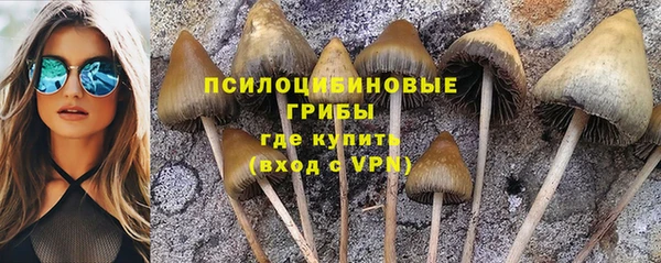 дурь Елизово